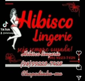 Loja Hibisco Lingerie